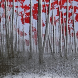 Maartje Middel, exposition