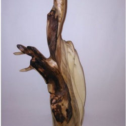 Thierry LOZANO  sculptures sur bois