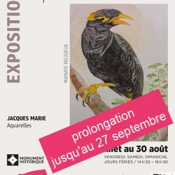 3 expositions prolongées jusqu&#039;au 27 septembre