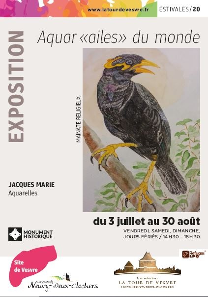 Exposition Aquar « Ailes» du monde