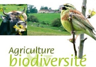 Conférence &quot; Les agriculteurs et les oiseaux&quot;