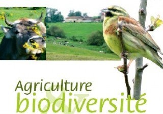 Expostion &quot; Agriculture et Biodiversité&quot;