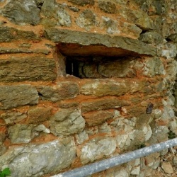 La restauration du colombier