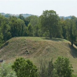 L’ensemble castral de Vesvre, motte et basse-cour (N°13)