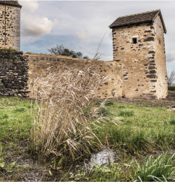 Visites du Site de Vesvre